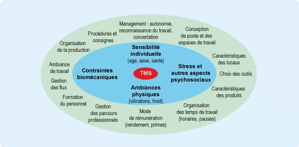 les facteurs responsables des troubles musculo-squelettiques